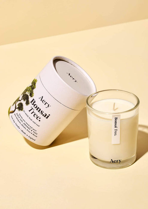 Bonsai Tree Scented Candle - Birch Sap Orange and Yuzu Botanical Aery Wholesale