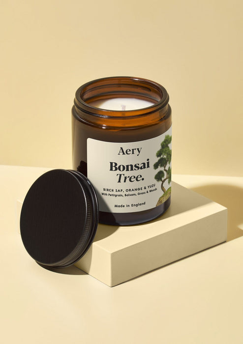Bonsai Scented Jar Candle - Birch Sap Orange and Yuzu Botanical Aery Wholesale