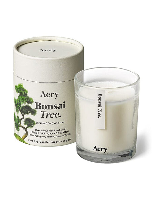 Cream Bonsai Tree candle by Aery displayed next to product packaging on white bacground 