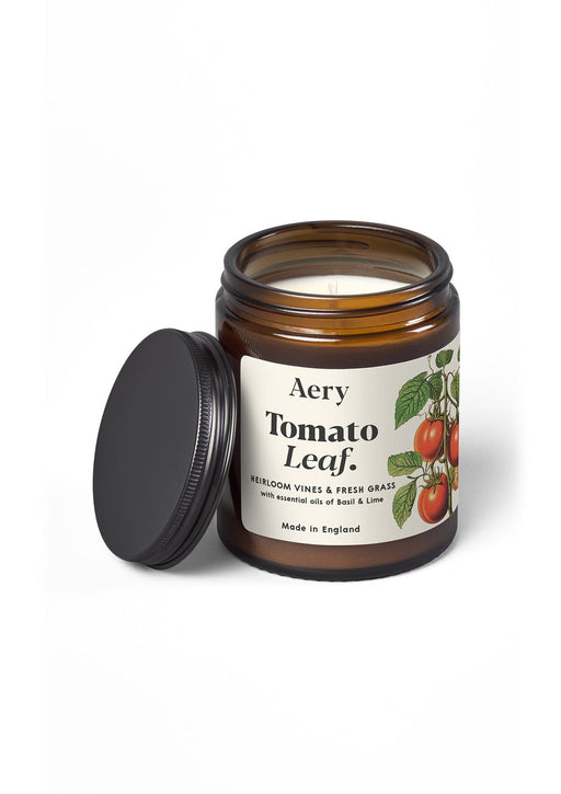 Tomato Leaf jar candle by Aery displayed on white bacground 