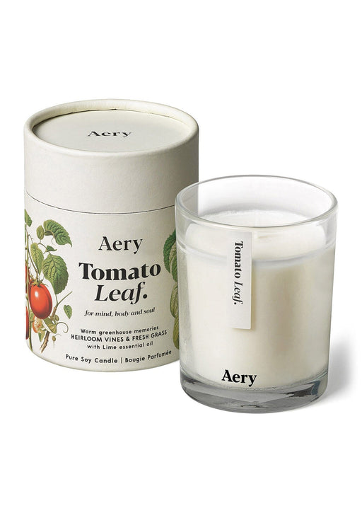 Tomato Leaf candle by Aery displayed next to product packaging on white bacground 