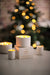Nordic Cedar Triple Wick Candle Fernweh Collection Aery Wholesale 