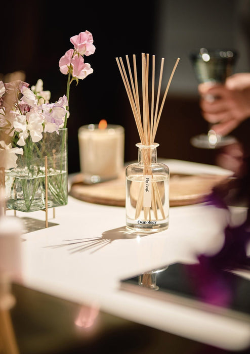 Fig Leaf Reed Diffuser Botanical Aery Wholesale 