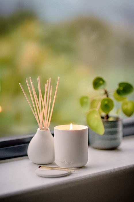 Nordic Cedar Scented Candle Fernweh Collection Aery Wholesale 