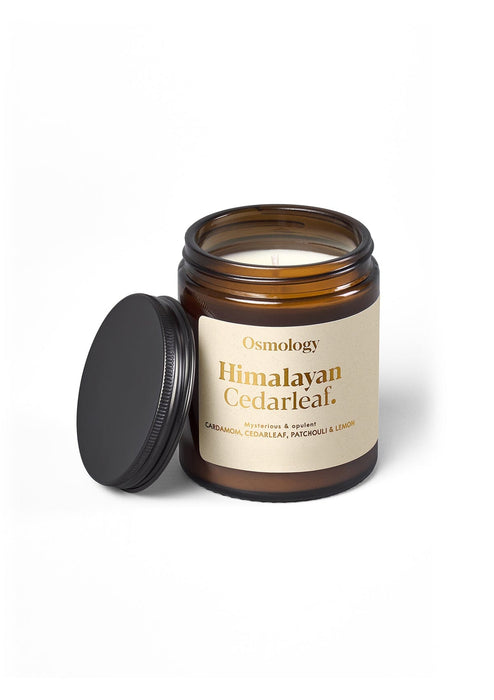 Himalayan Cedarleaf Scented Jar Candle Fernweh Collection Aery Wholesale 