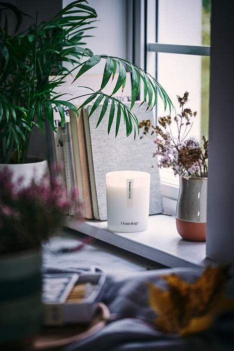 Tomato Leaf Scented Candle Aery Wholesale 