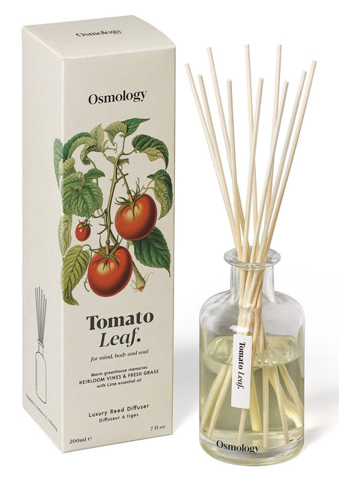 Tomato Leaf Reed Diffuser Aery Wholesale 