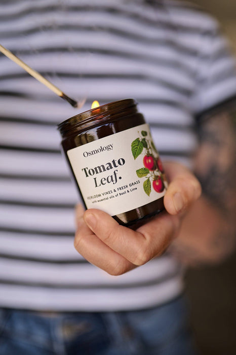 Tomato Leaf Scented Jar Candle Aery Wholesale 