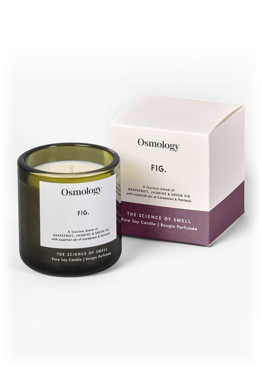 Fig Scented Candle Candles Aery Wholesale 