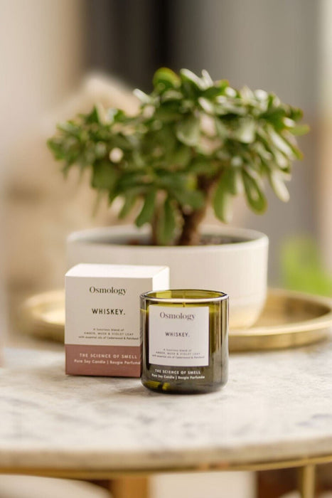 Whiskey Scented Candle Utility Collection Osmology 