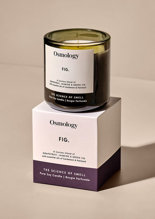 Fig Scented Candle Candles Aery Wholesale 