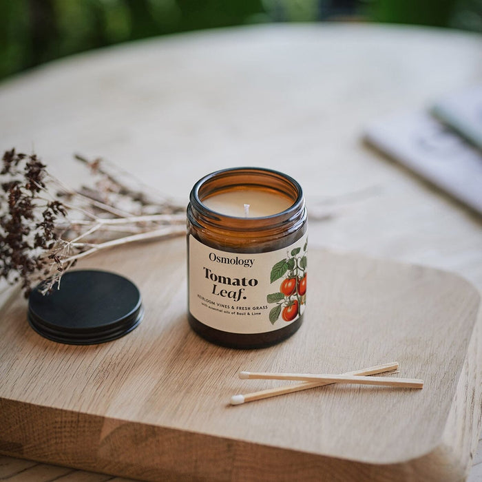 Tomato Leaf Scented Jar Candle Aery Wholesale 